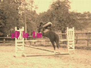 Léa et Nina parcours CS0 90cm/1m