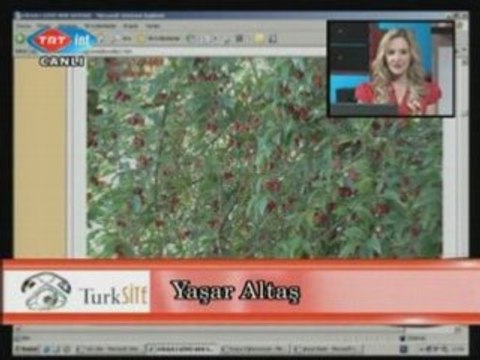 Erzurum İspir Kirazlı köyü kirazli.org TRT de