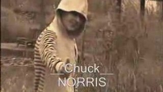 Parodie Chuck Norris