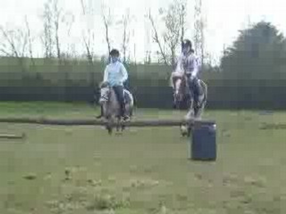 Saut
