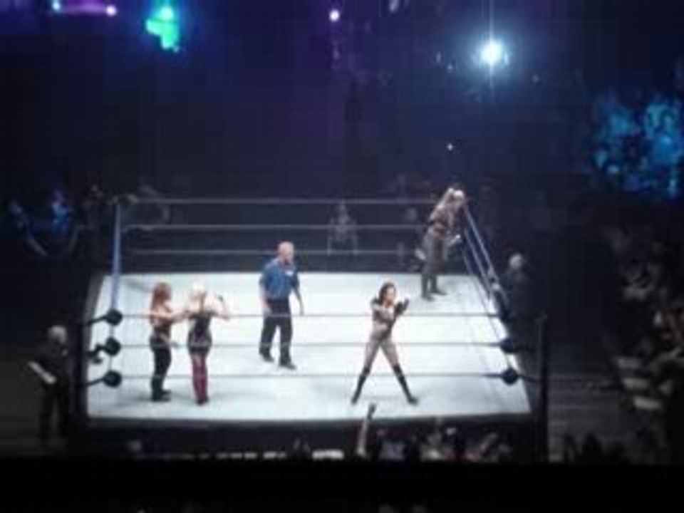 Diva Tag Team Match