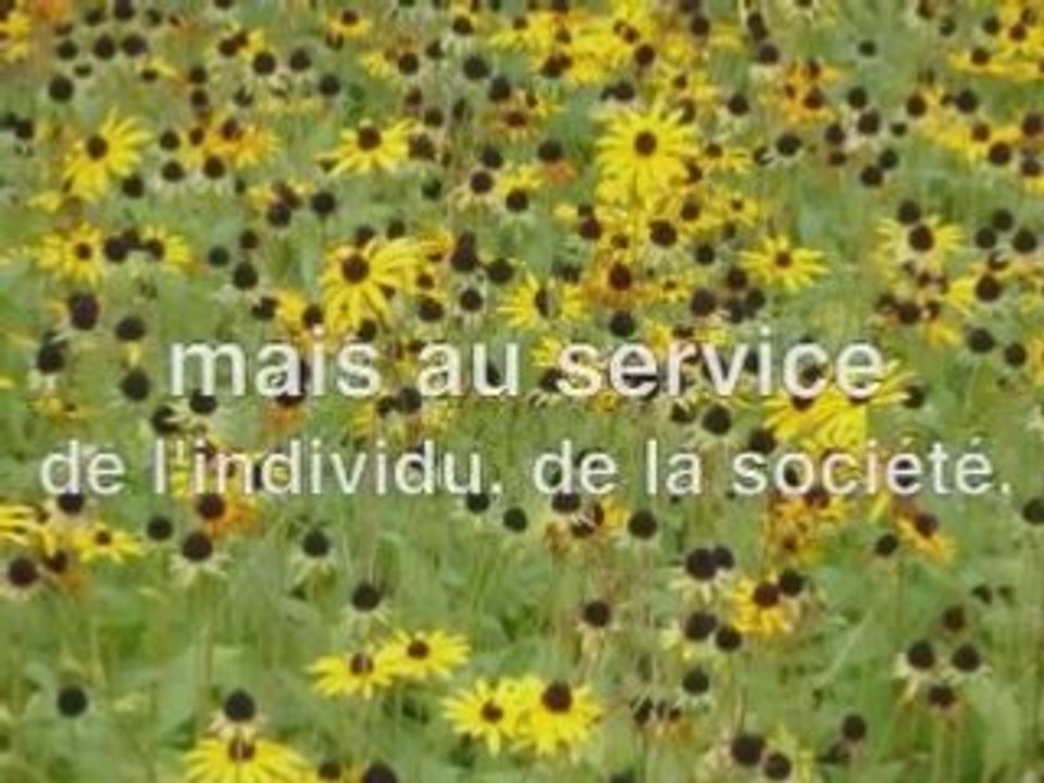 A l'envers le monde ?