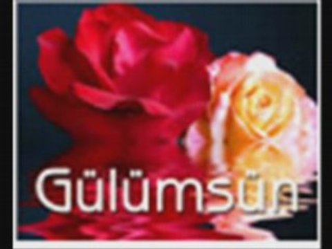 ERDAL Güney-Gül bakışlim