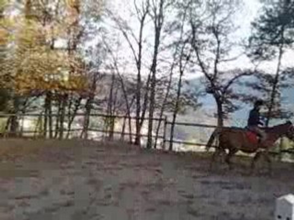 Happy Rancho