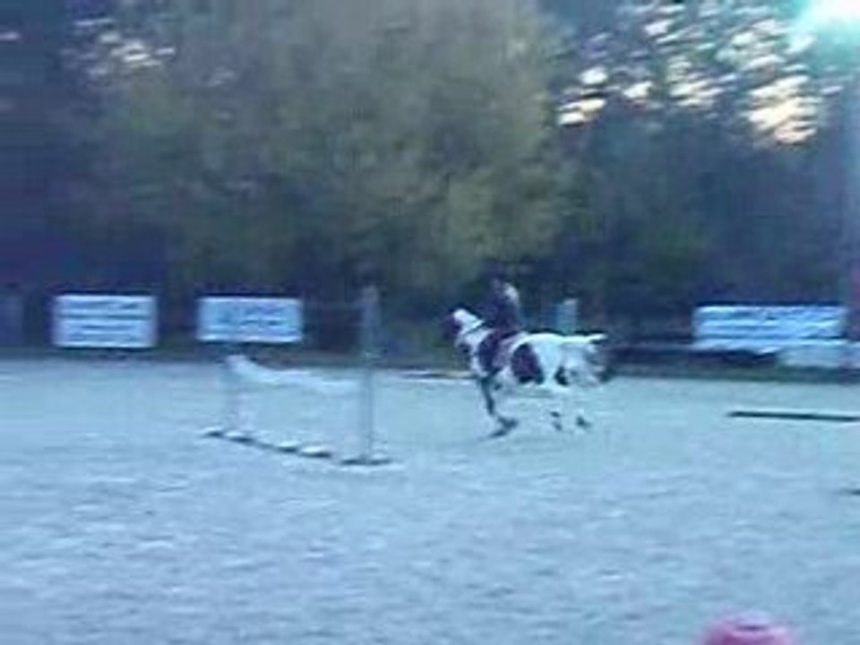 PB080303