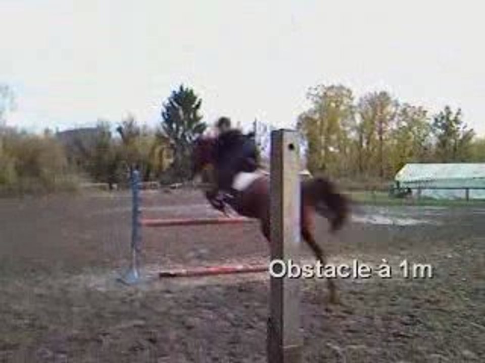 Saut d'Obstacle - 8 Novembre 2008
