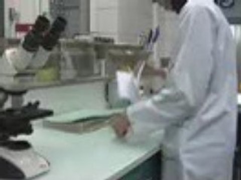 Film personnalise Labac