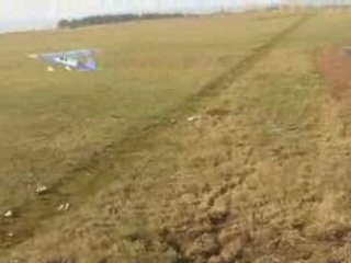 Cessna C-140 ARF 1.3M Maiden