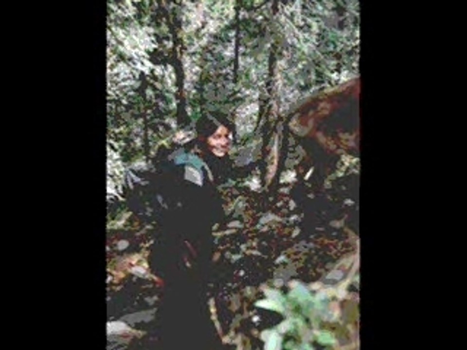 Holymountain