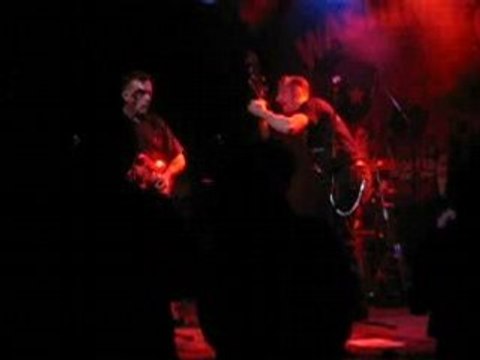 Screaming kids Tamanoir