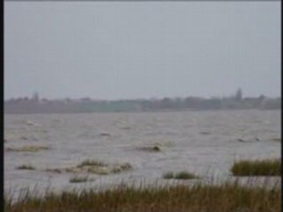 Windsurf 081108