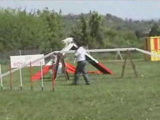 Sélectif GPF Lolo et Vic