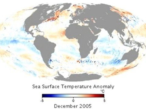 Anomalies des températures de surface des océans
