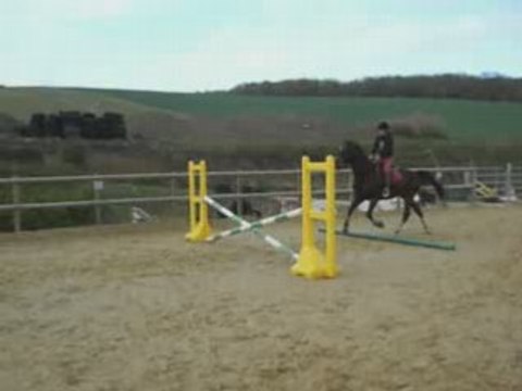 1ere séance obstacle monté avec Philou