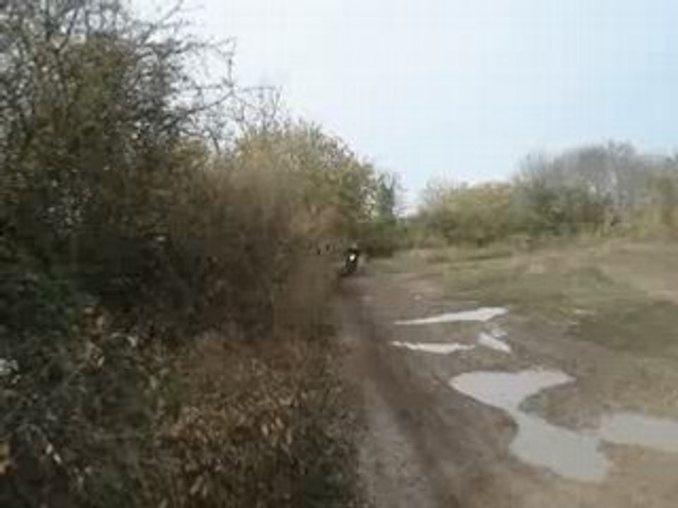 Moi av la fantic dan la ligne droite