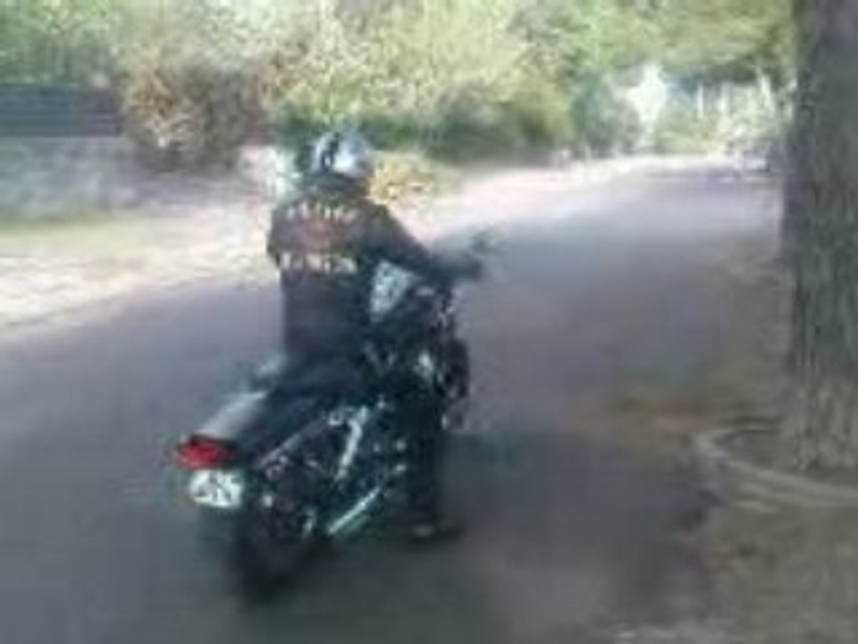 HARLEY DAVIDSON DYNA FATBOB ( MOI )