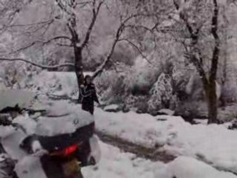 La Tonguerie des Pyrénées 2 novembre 2008