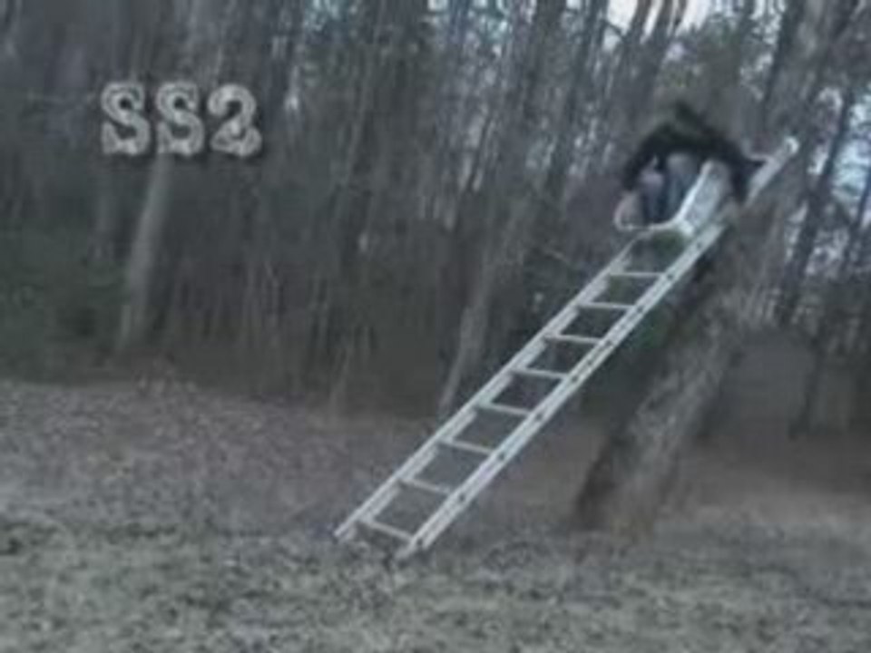 Basket Ladder Fail