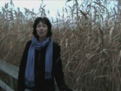 Personal Empowerment - Principle of Sowing and Reaping