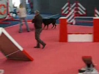 Prestige au 2è degré Terves nov.08