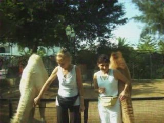 VACANCES EN TUNISIE.