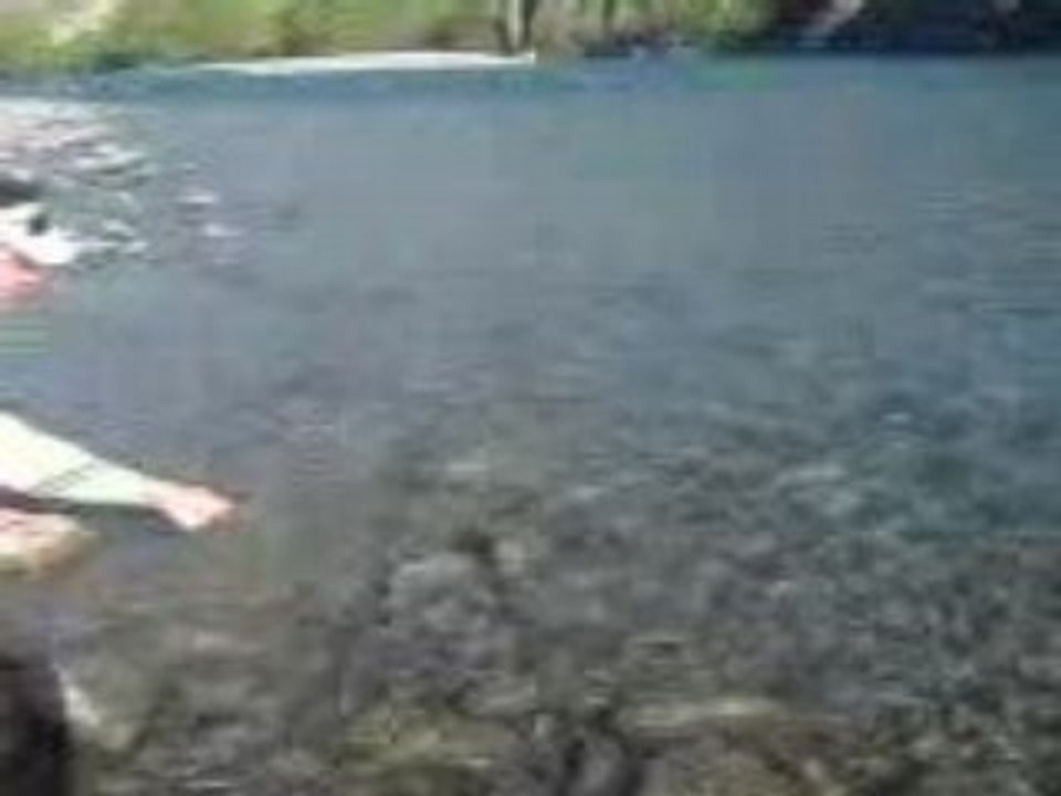 Remise a l'eau truite 4lbs made in new zealand