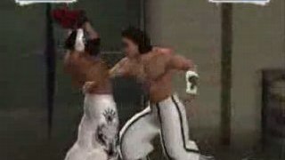 Smackdown Vs. Raw 2009: Backstage Beatdown (PS2)