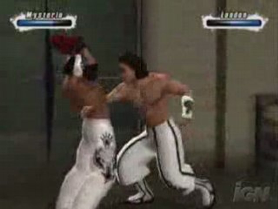 Smackdown Vs. Raw 2009: Backstage Beatdown (PS2)