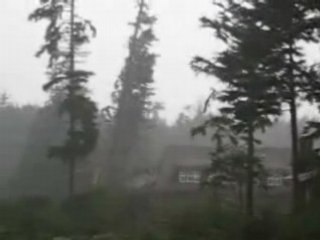 Tree Falling on House