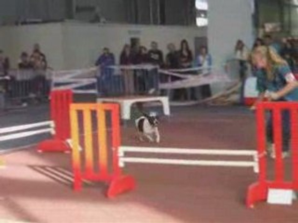 Tarbes1_0001