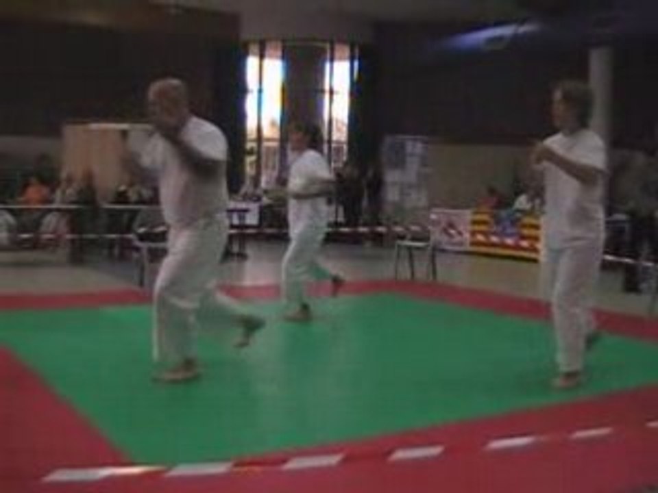 Coc karaté cabestany centre culturel p3