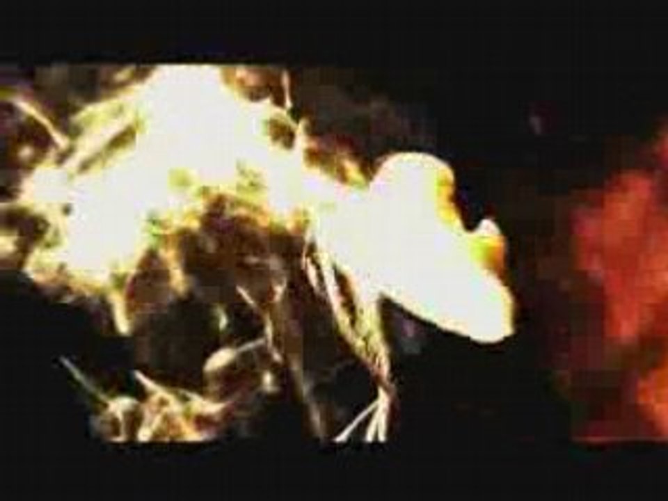 Vybz Kartel - Life Sweet