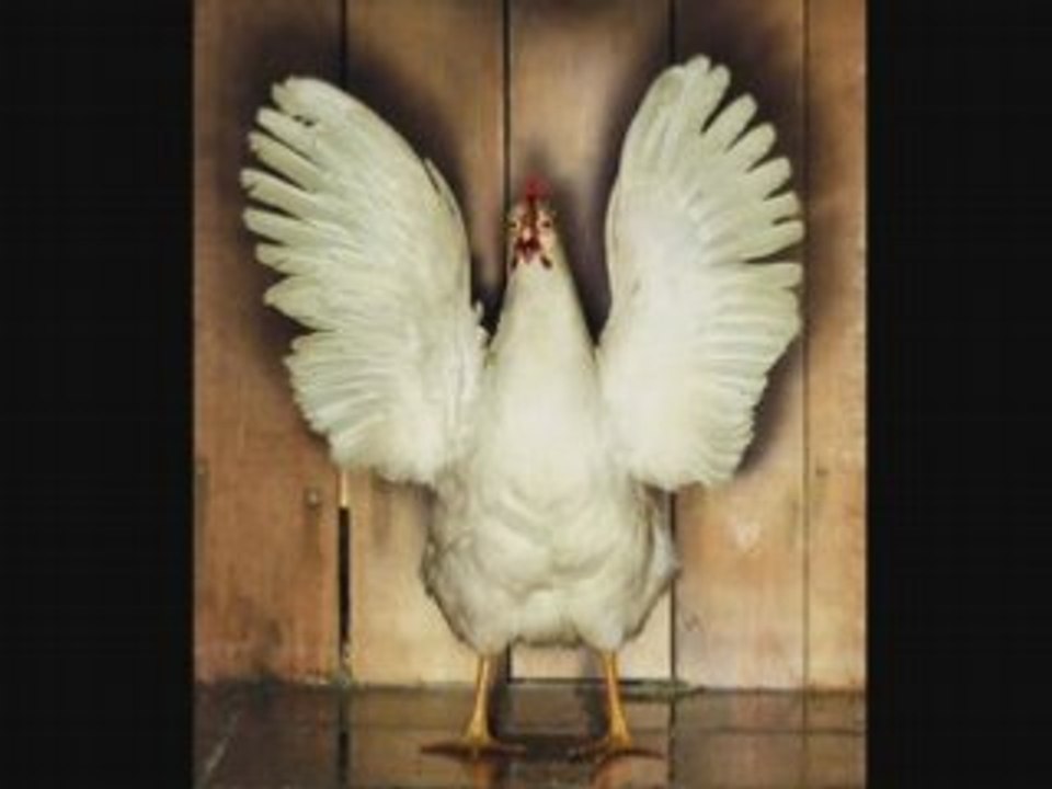 Chicken Techno