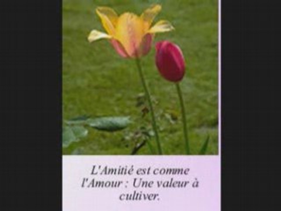 Les anges