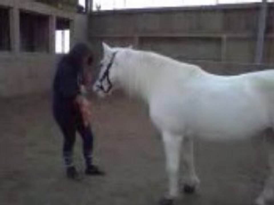 MINI TRAVAIL EN LIBERTE.