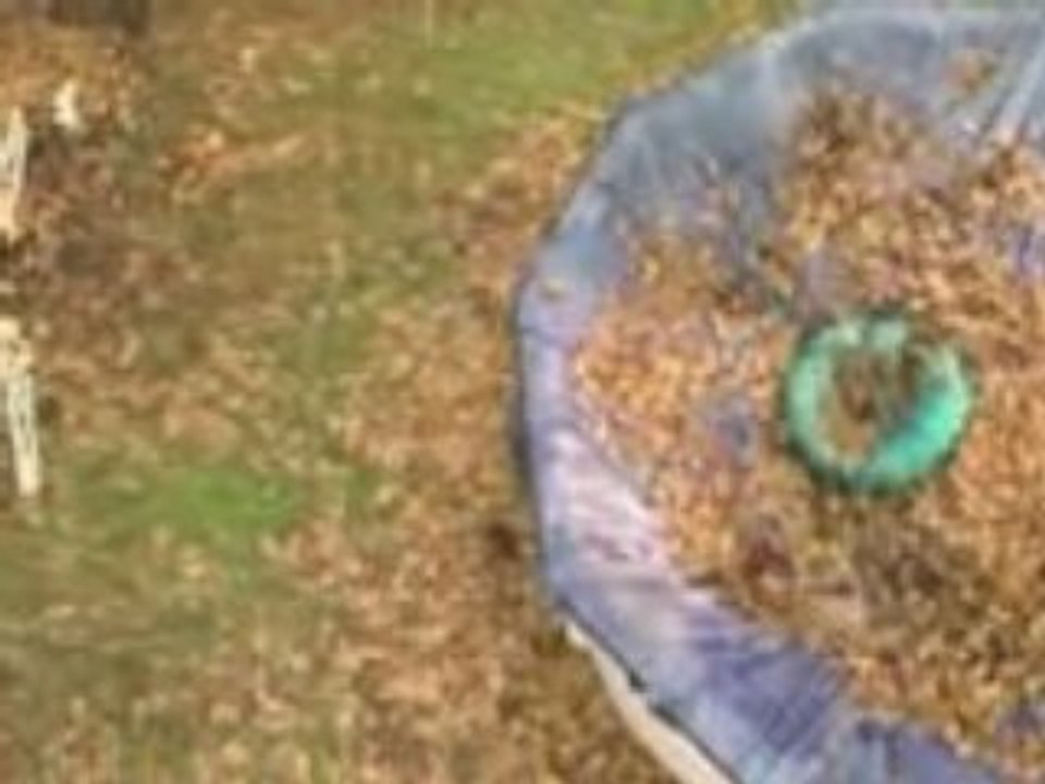 Garden State (2004)