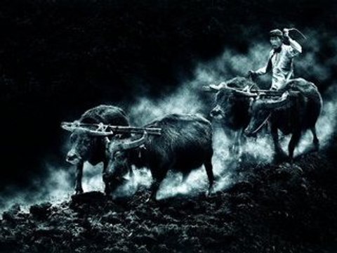 TULLE SALON INTERNATIONAL PHOTO 2008 RECOMPENSES