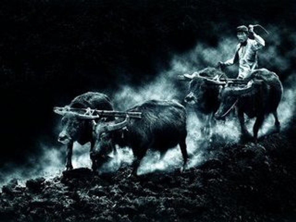 TULLE SALON INTERNATIONAL PHOTO 2008 RECOMPENSES