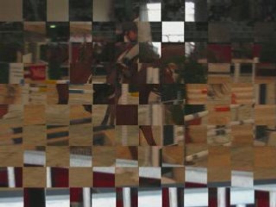 Salon du cheval 2008