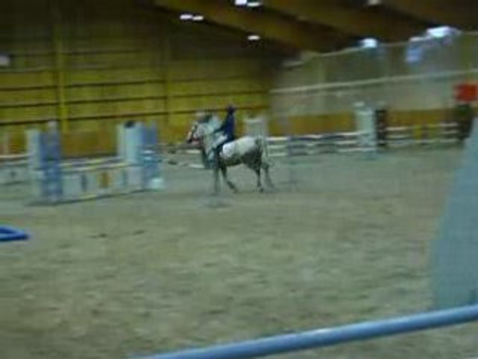 concours  Coullons 9 novembre 2008 POD3