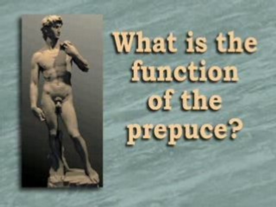 The prepuce explained by "Doctors opposing circumcision"