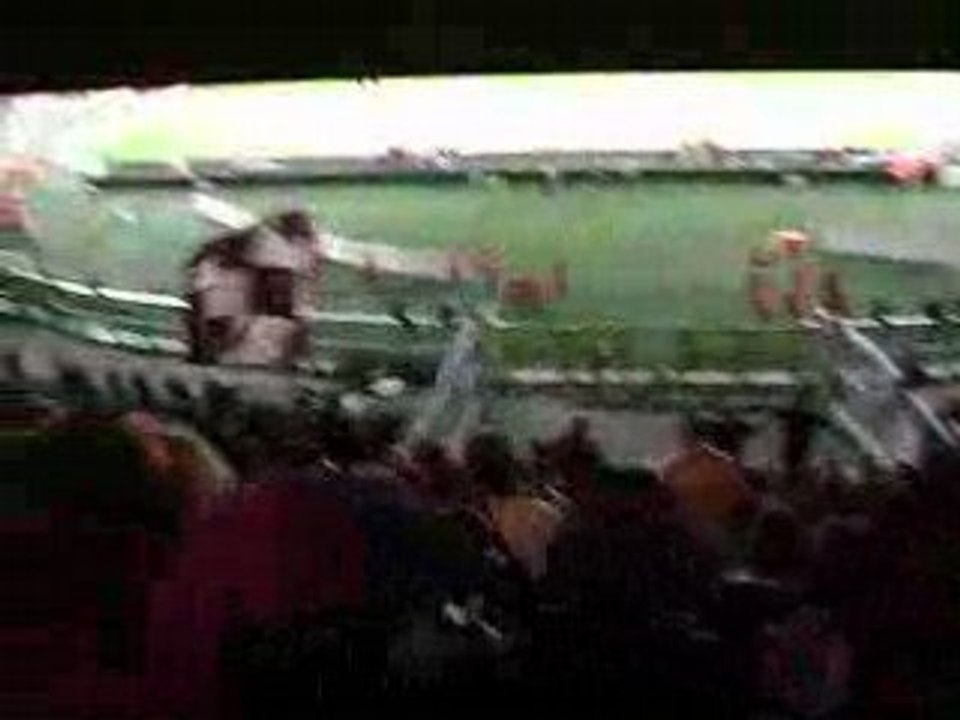 Torino FC - Palermo (n°9)