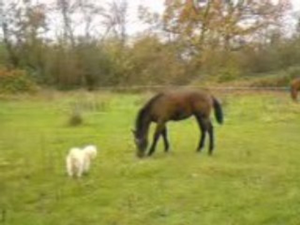 MOV00486