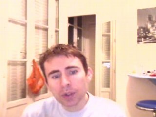 Wiwi égratigne "A rose has to die"