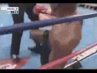 Tyson vs. Lewis knock out punch ( www.google.forum.st )