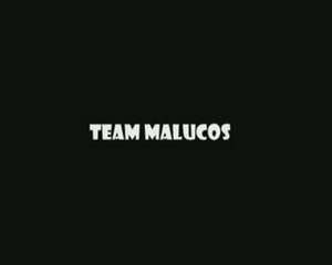 MaluCos Vs AKC