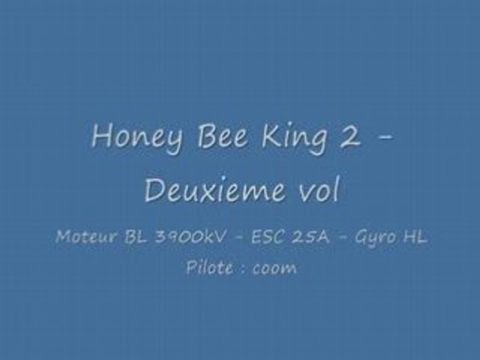 Honey bee king 2 - Deuxieme vol .. (et crash)