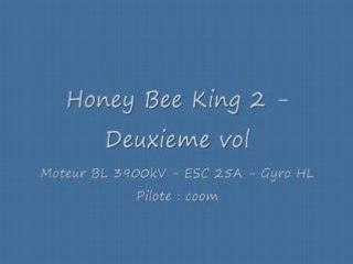 Honey bee king 2 - Deuxieme vol .. (et crash)