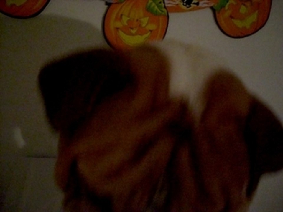 Photo 023