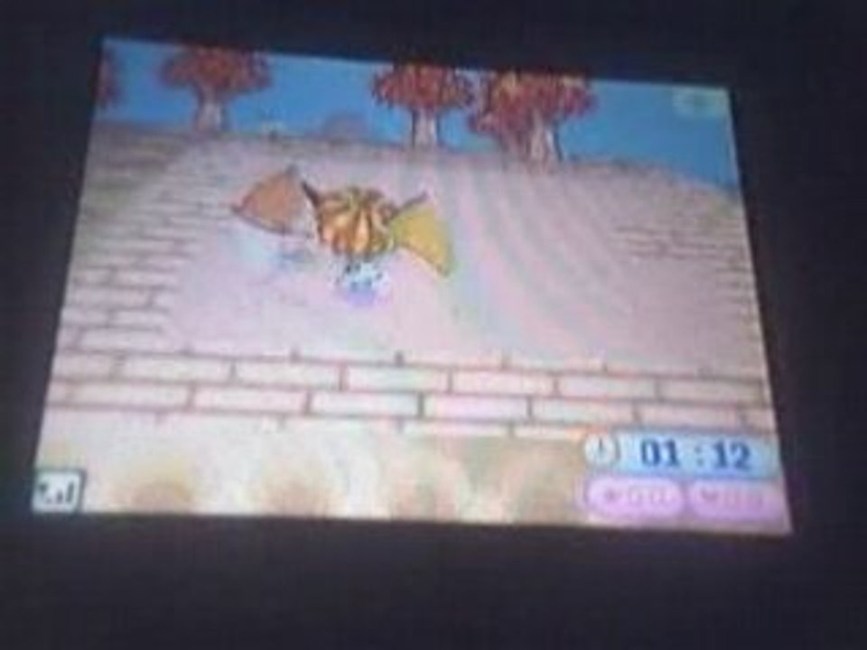 Animal Crossing Wild World: petit jeu^^